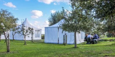 Bedrijfsfestival met stretchtenten | Boerderij De Boerinn