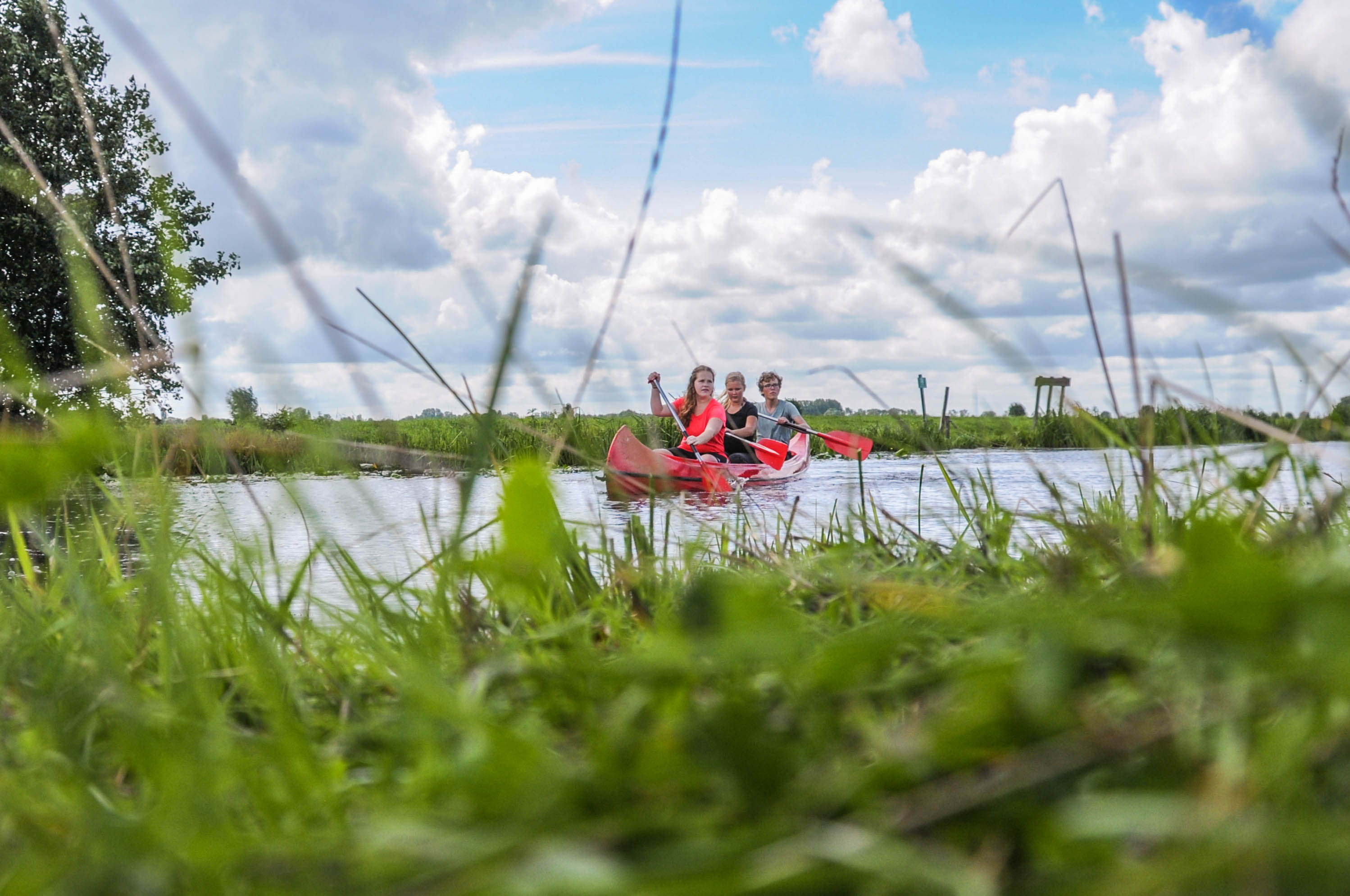 Kanotocht tussen de weilanden door | Boerderij de Boerinn