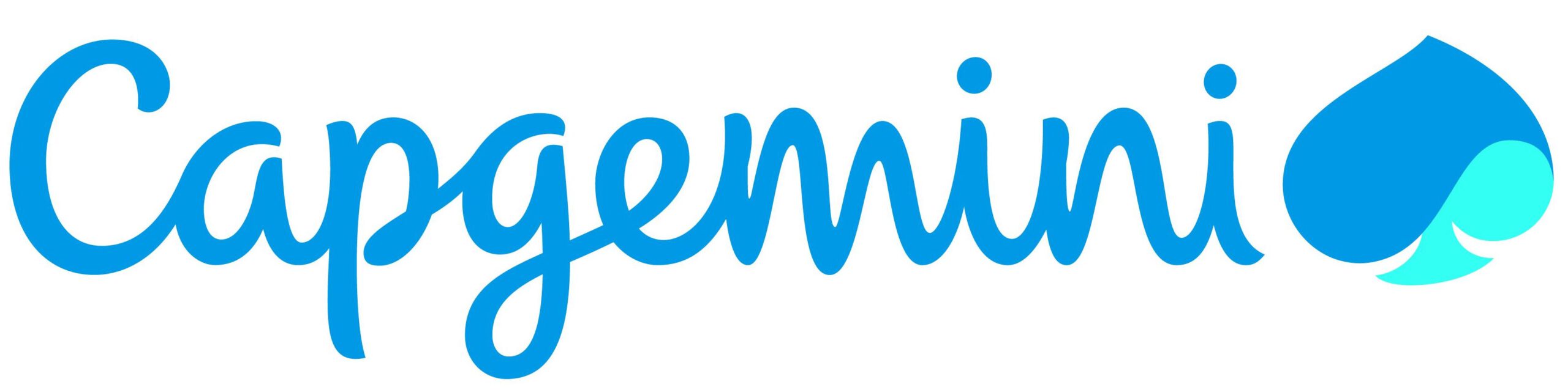 Logo Capgemini | Boerderij De Boerinn
