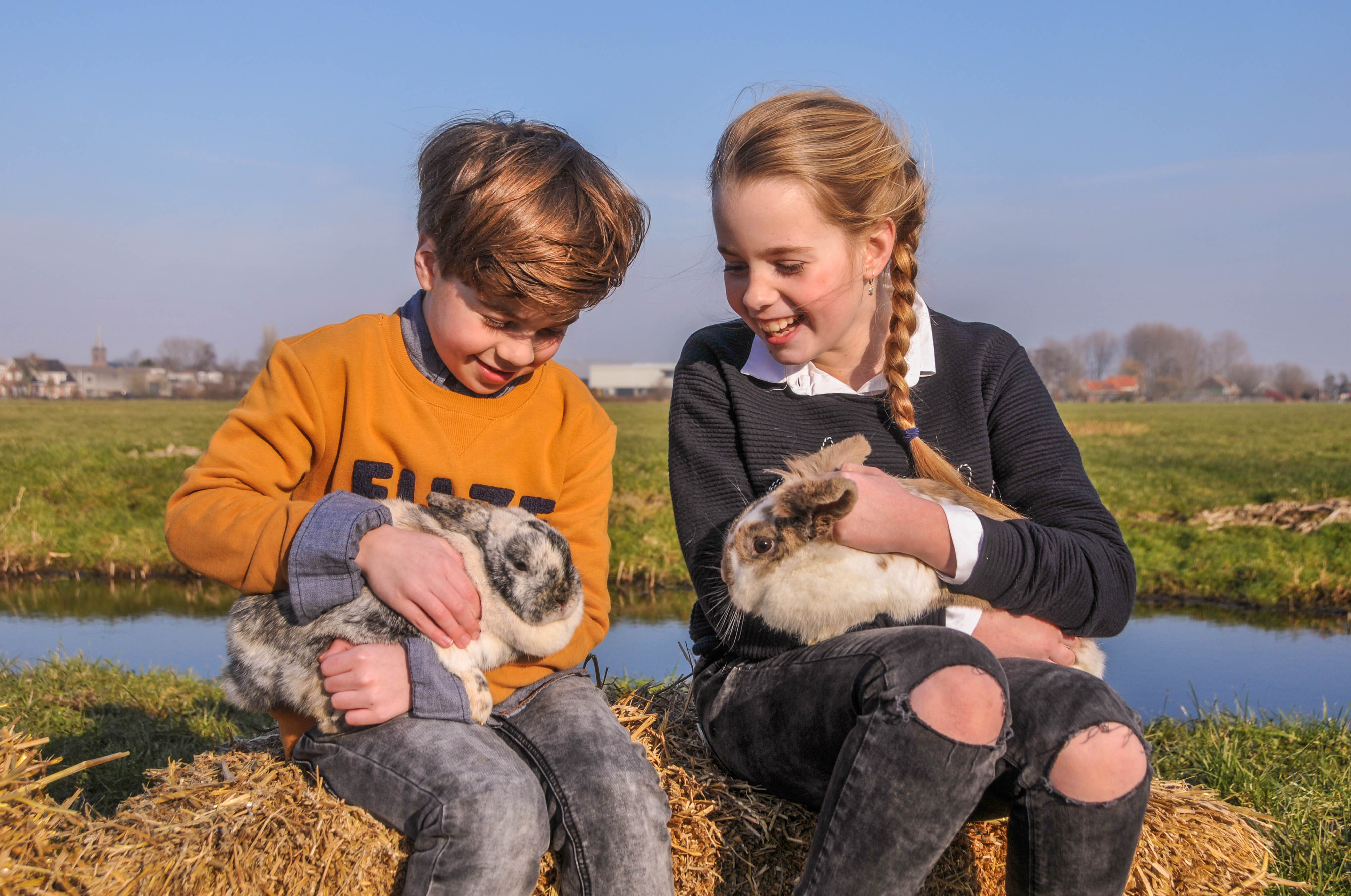Dieren | Camping de Boerinn