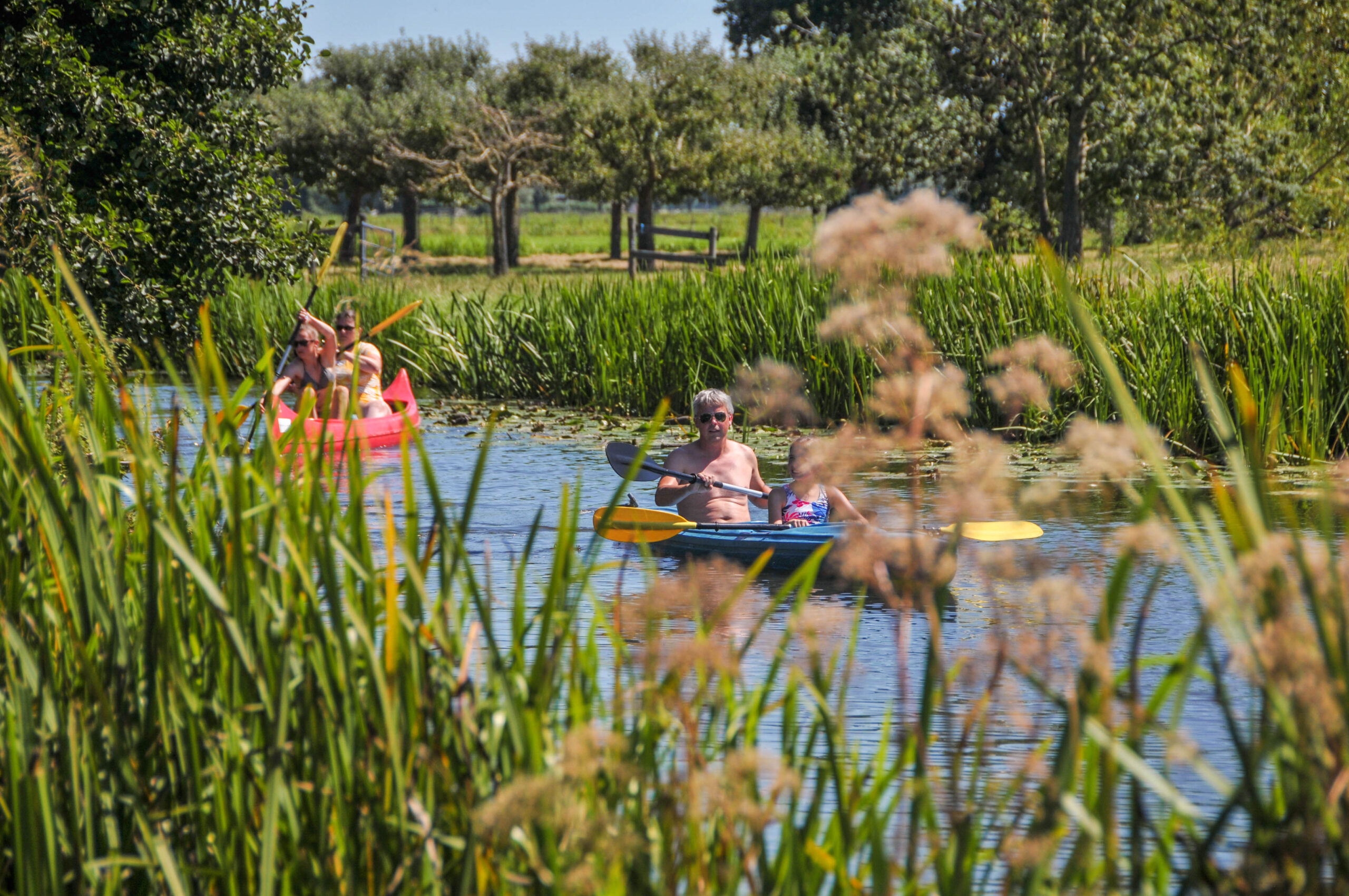 Activiteiten voor iederen | Camping de Boerinn.jpg