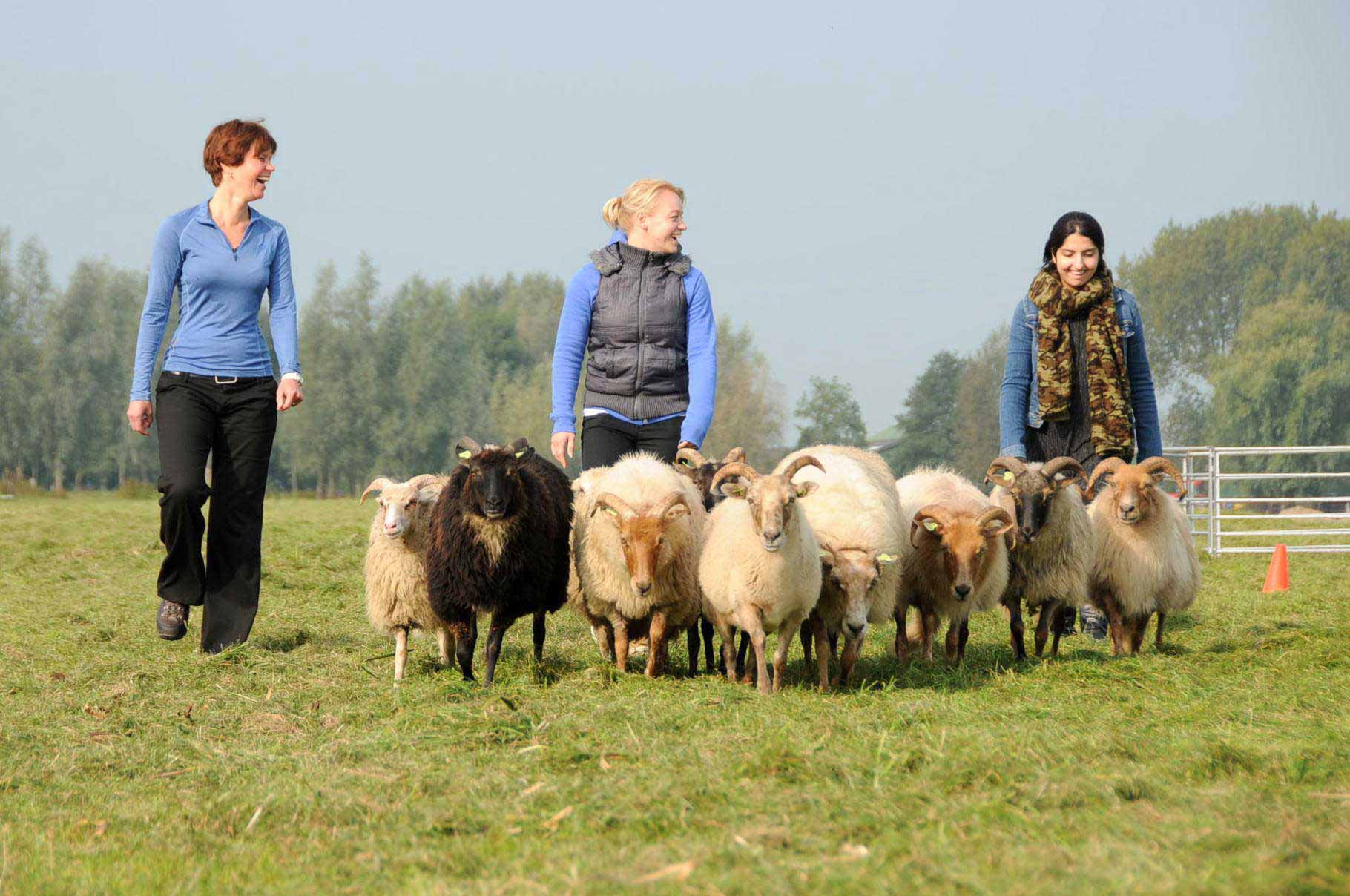 Bedrijfsuitje omgeving Utrecht | Boerderij De Boerinn