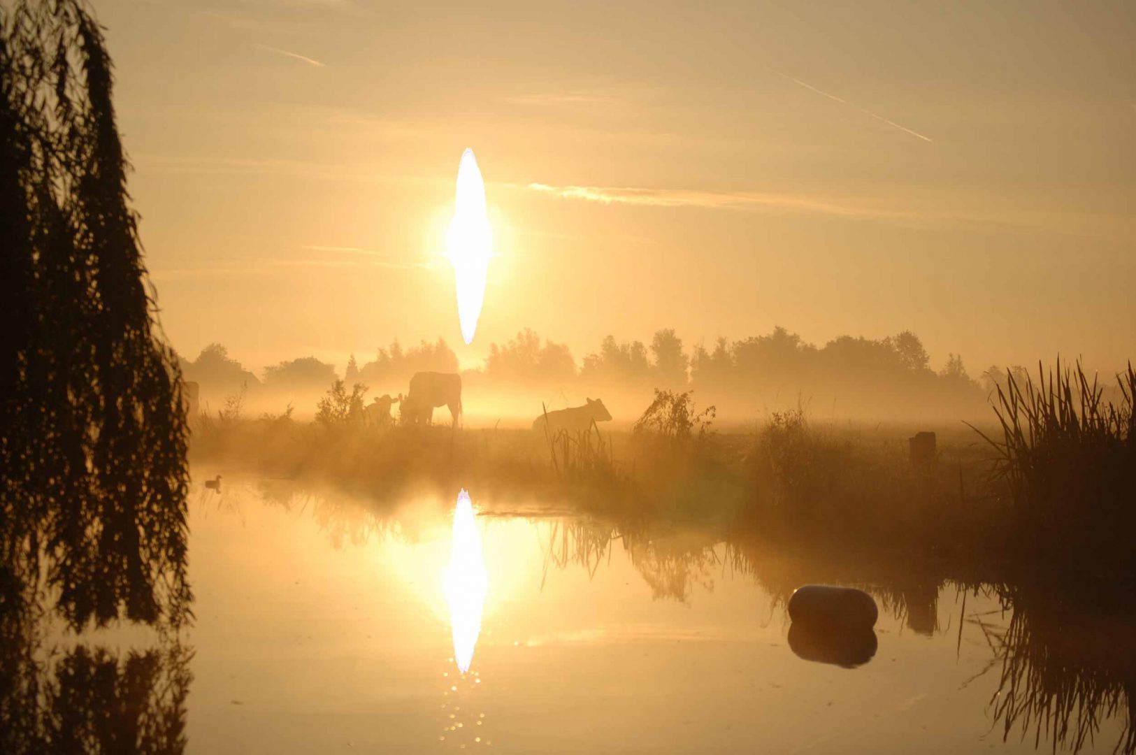 Zelfvoorzienend in energieopwekking