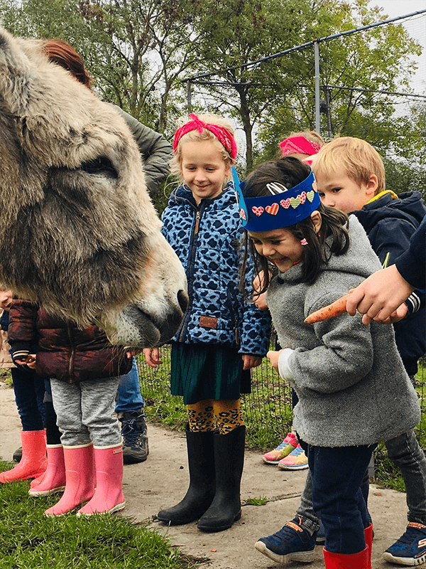 Ontdek de dieren | Boerderij De Boerinn