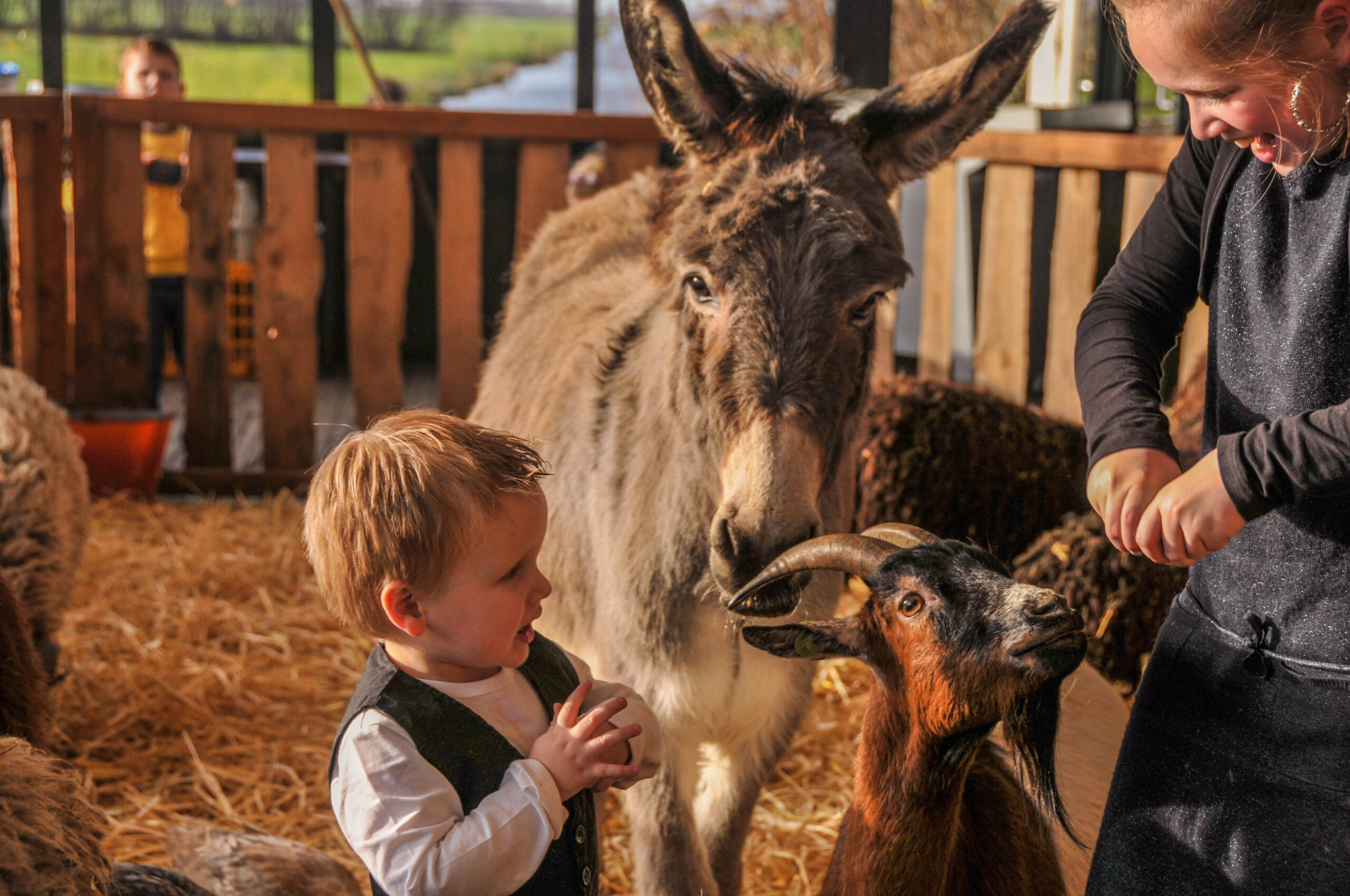 Kerstbrunch op de boerderij 5