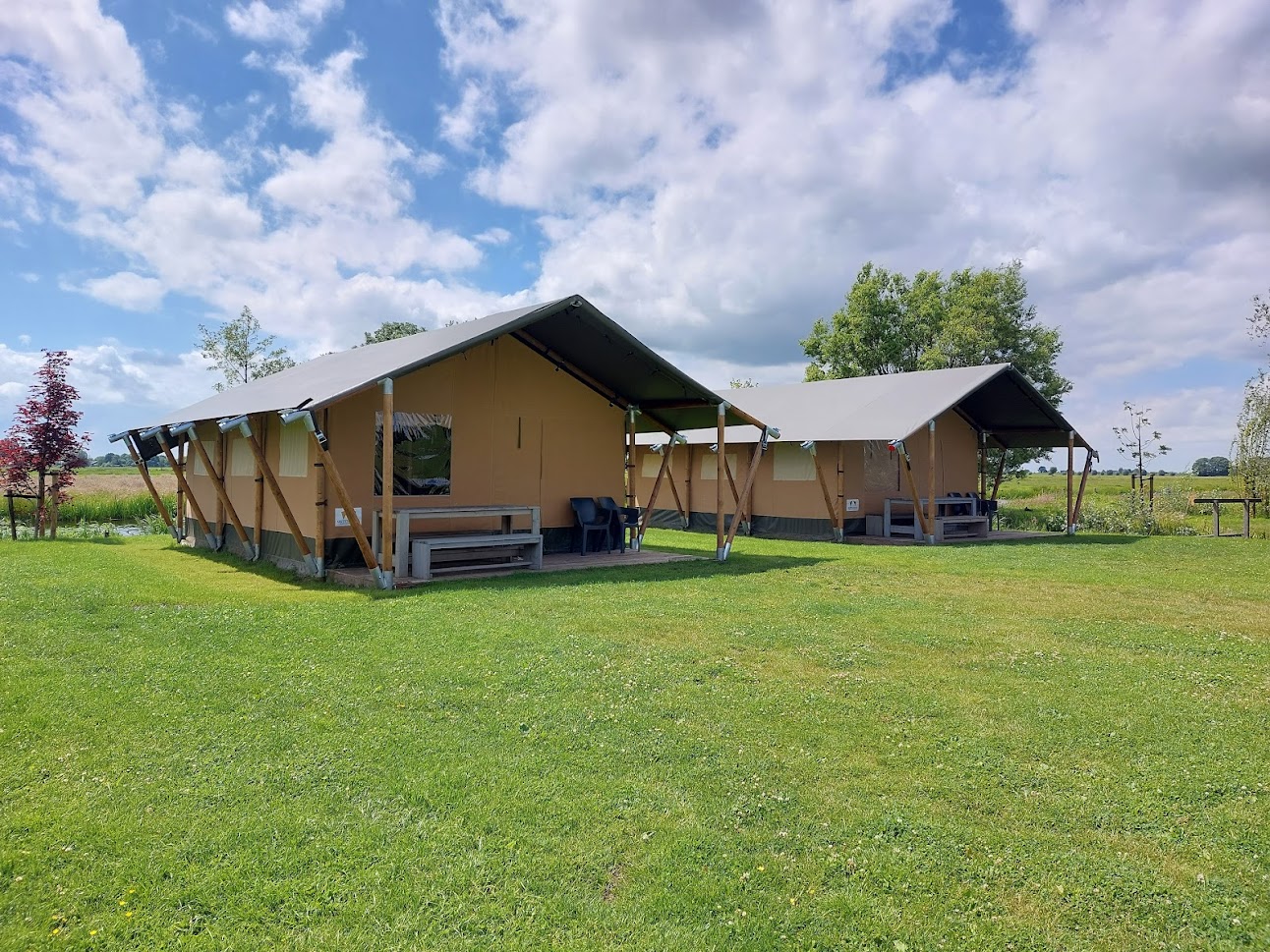Safari tents