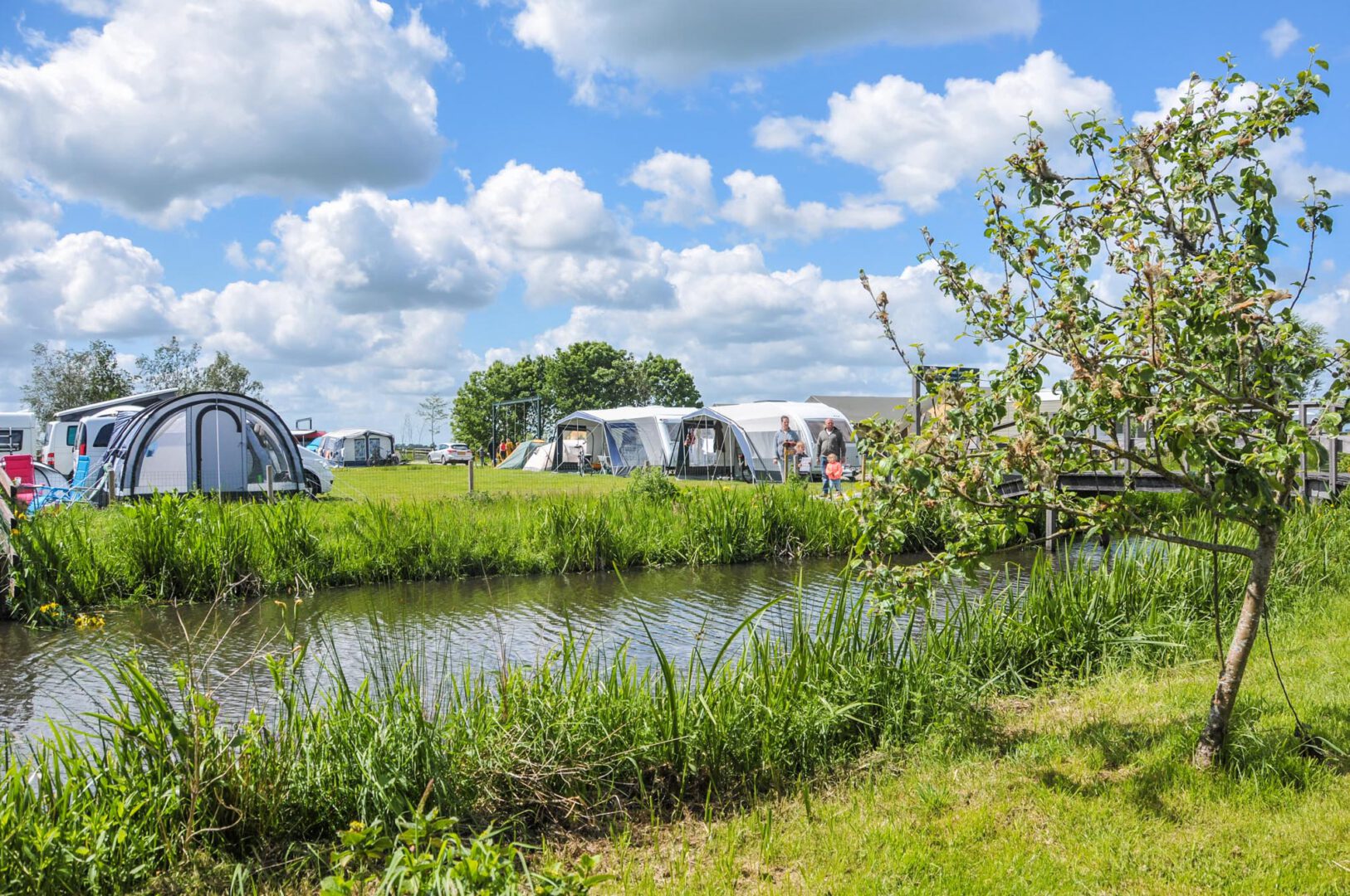 Tenten-camping-in-de-natuur