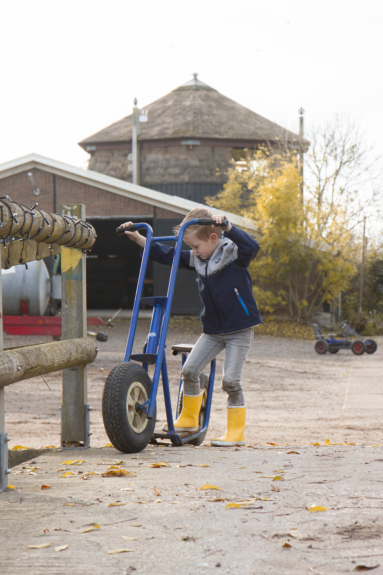 steppen | Boerderij de Boerinn