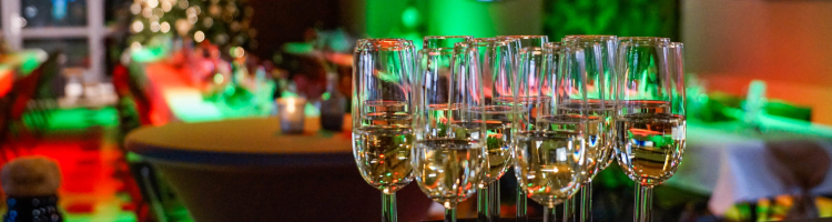 Kerstborrel smalle banner | Boerderij De Boerinn
