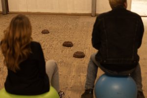 Speel leuke indoor boerenspellen