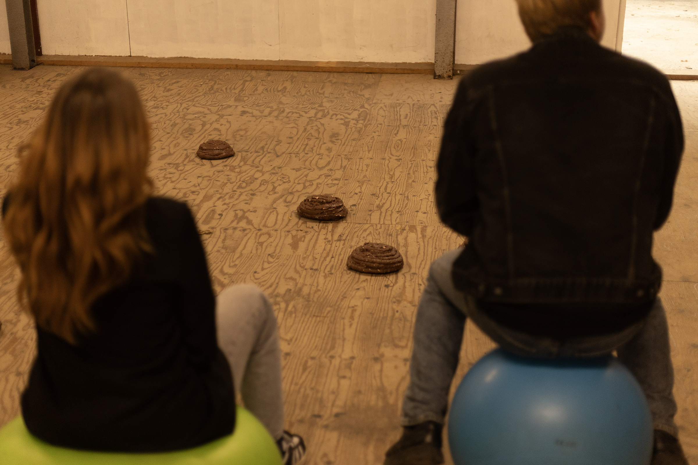 Speel leuke indoor boerenspellen