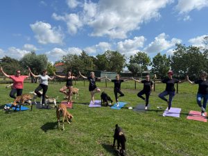 Een ontspannen les Geitenyoga
