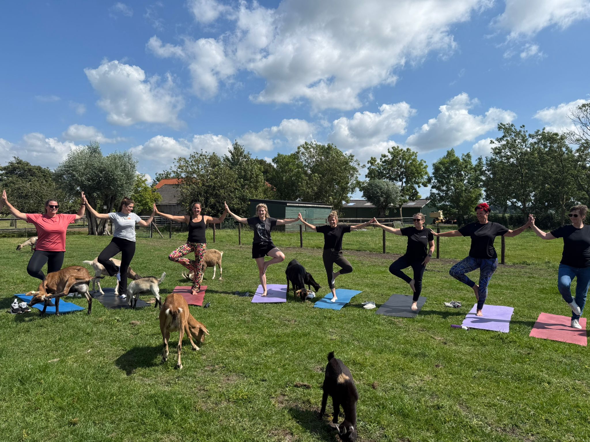 Een ontspannen les Geitenyoga