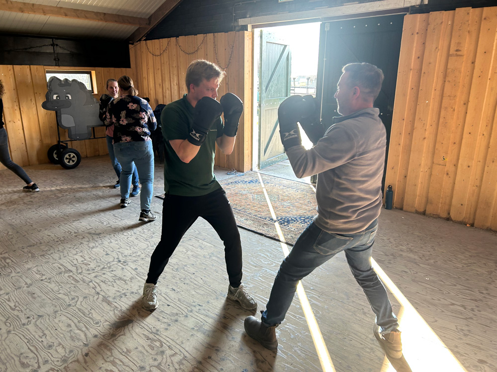 Alles leren over boksen | Boerderij De Boerinn