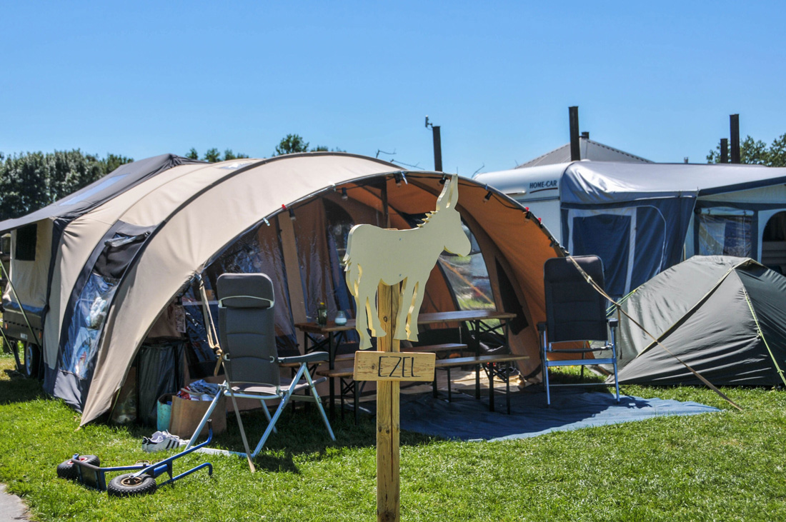 Ezel als campingplaats | Boerderij De Boerinn