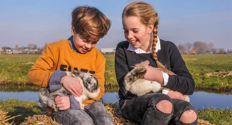 Knuffelen met de boerderij dieren | Camping De Boerinn