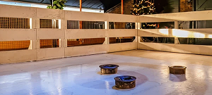 Curlen | de Winter Boerinn